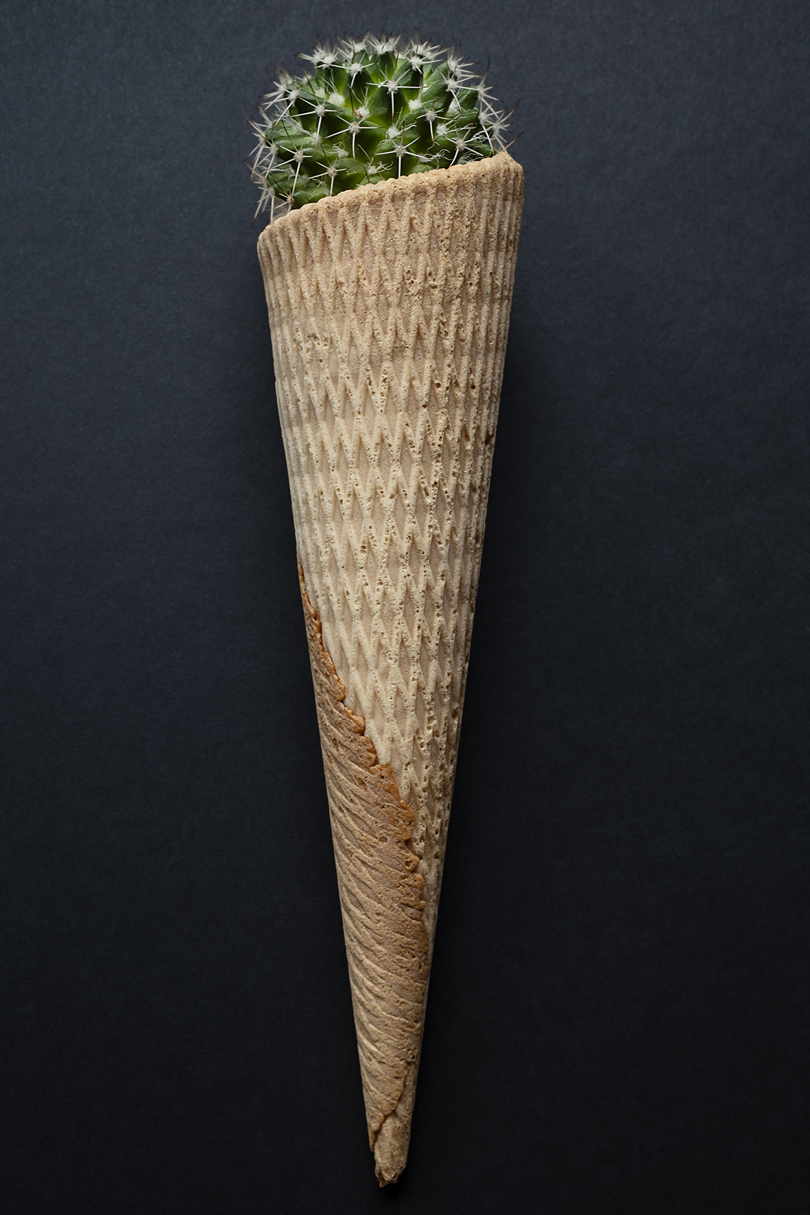 2025. OCTUBRE. TEMA: 